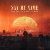 Rob Gasser & Harley Bird - Say My Name