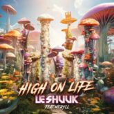 le Shuuk feat. Meryll - High On Life (Extended Mix)