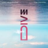 Lost Frequencies & Tom Gregory - Dive