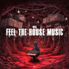 Wux - Feel The House Music