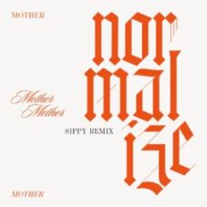 Mother Mother - Normalize (Sippy Remix)