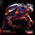 Pete Delete - Sapo (Find The Frog) (Extended Mix)