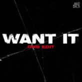 Kumarion - Want It (DnB Edit)