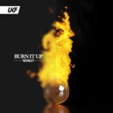 Bensley - Burn It Up