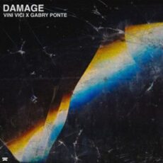 Vini Vici x Gabry Ponte - Damage (Extended Mix)