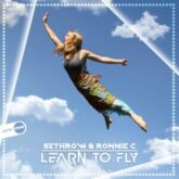 Sethrow & Ronnie C - Learn To Fly