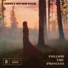 Dokho & Not Now Please - Follow The Princess