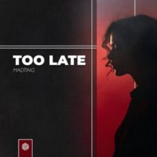 MadTing - Too Late (Extended Mix)
