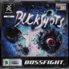 Bossfight - Buckshots