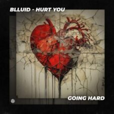 Blluid - Hurt You (Extended Mix)