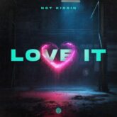 Not Kiddin - Love It (Extended Mix)