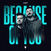 LIZOT - Because Of You (Extended Mix)