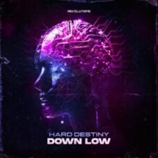 Hard Destiny - Down Low