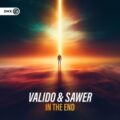 Valido & Sawer - In The End