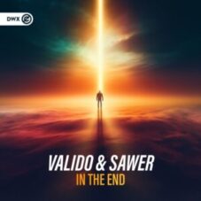 Valido & Sawer - In The End
