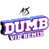 A7S - Dumb (VIP Remix)