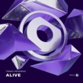 Timmo Hendriks - Alive (Extended Mix)