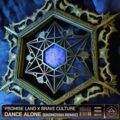 Promise Land x Brave Culture - Dance Alone (Ekonovah Extended Remix)