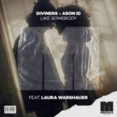 Diviners x Ason ID - Like Somebody (feat. Laura Warshauer)