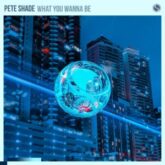 Pete Shade - What You Wanna Be (Extended Mix)