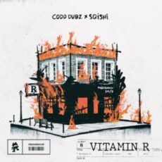 Codd Dubz & SQISHI - Vitamin R