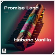 Promise Land - Habano Vanilla (Extended Mix)