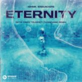 KSHMR & Bassjackers with Timmy Trumpet - Eternity (Tungevaag Extended Remix)
