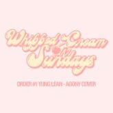 Yung Lean - Agony (WHIPPED CREAM Cover)