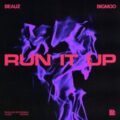 BEAUZ & BIGMOO - Run It Up (Extended Mix)