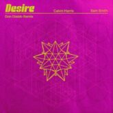 Calvin Harris & Sam Smith - Desire (Don Diablo Remix)