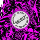 Sunnery James & Ryan Marciano - Shorty (Novak Extended Remix)