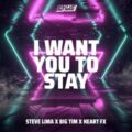 Steve Lima x BIG TIM x HEART FX - I Want You To Stay (Extended Mix)