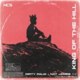 Dirty Palm & Nat James - King Of The Hill