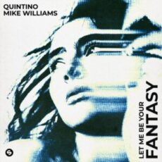 Quintino & Mike Williams - Let Me Be Your Fantasy