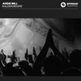 Angie Mill - Kaleidoscope