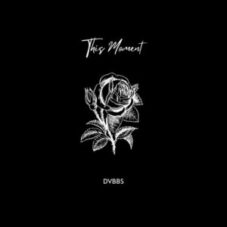 DVBBS - This Moment