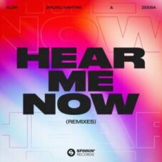 Alok, Zeeba & Bruno Martini - Hear Me Now (Alok Remix)