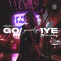 Archelli Findz, Black Station - Goodbye (Extended Mix)