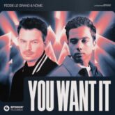 Fedde Le Grand & NOME. - You Want It (Extended Mix)