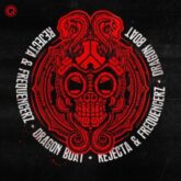 Rejecta & Frequencerz - Dragon Boat (DJ Mix)