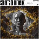 This Culture & Gurli - Secrets Of The Dark