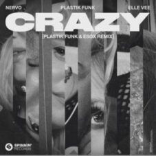 NERVO & Plastik Funk & Elle Vee - Crazy (Plastik Funk & Esox Remix)