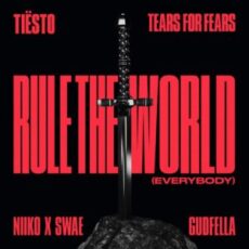 Tiesto & Tears For Fears x NIIKO X SWAE & GUDFELLA - Rule The World (Everybody) (Extended Mix)