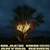 070 Shake - Black Dress (Anyma Extended Remix)