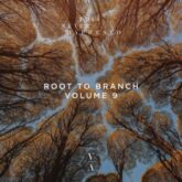 This Never Happened pres. Root To Branch, vol. 9 EP