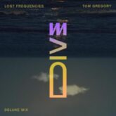 Lost Frequencies & Tom Gregory - Dive (Deluxe Mix)