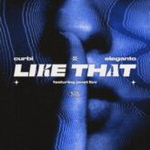 Curbi & Eleganto - Like That (feat. Janet Livv)