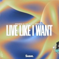 D'Amico & Valax x Ferrigno - Live Like I Want (Extended Mix)