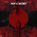 Prezioso x Shibui x Alex Pizzuti - Not A Secret (Extended Mix)