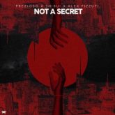 Prezioso x Shibui x Alex Pizzuti - Not A Secret (Extended Mix)